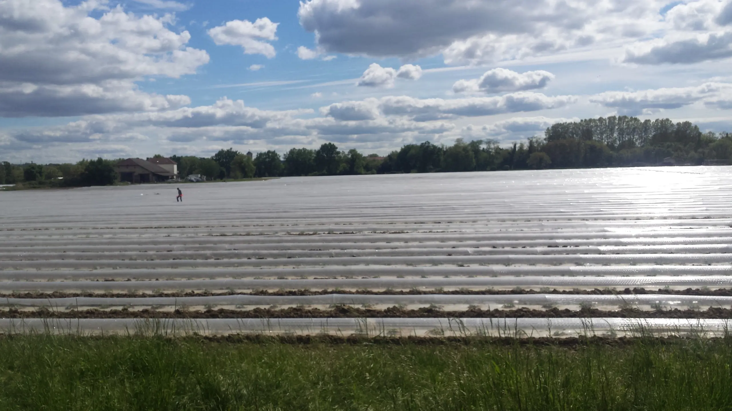 Plasticgebruik-op-land-in-Zuid-Frankrijk-scaled